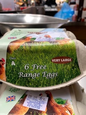 Free eggs